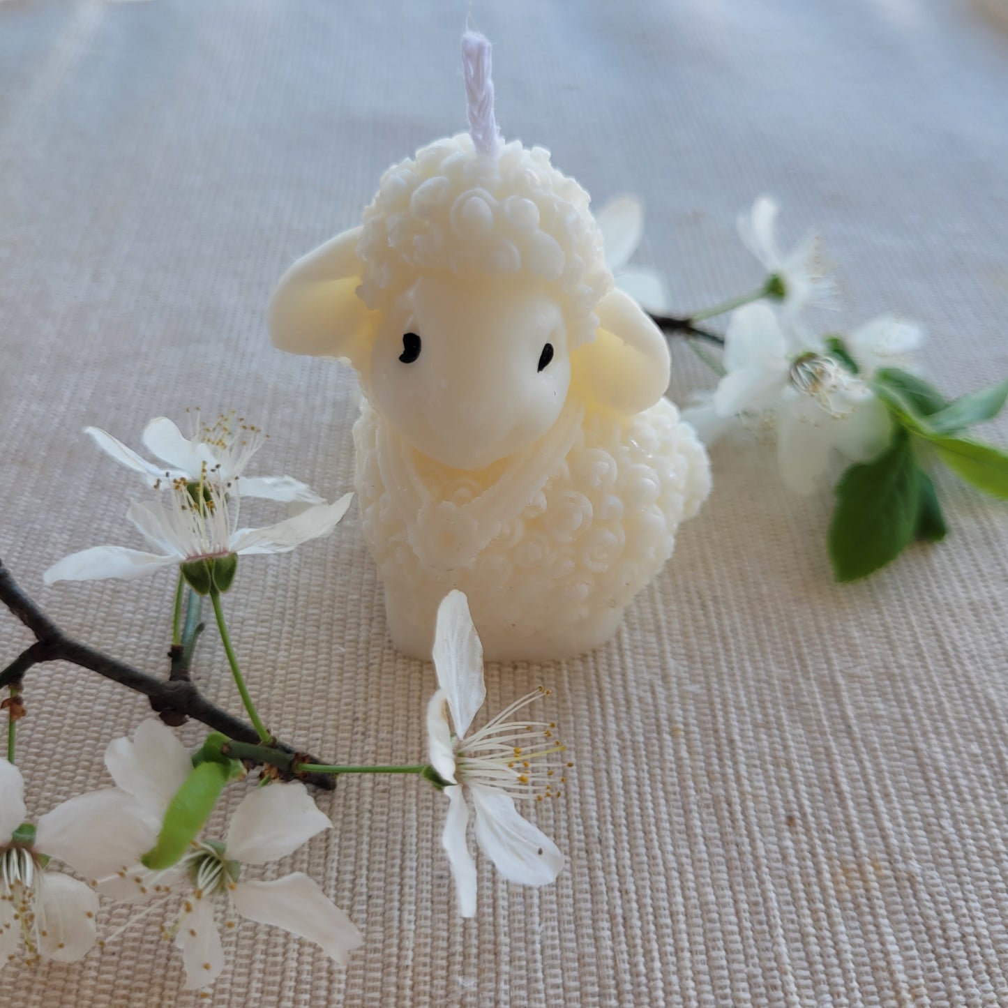 Овчици